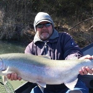 Meet your Posher, Maureen